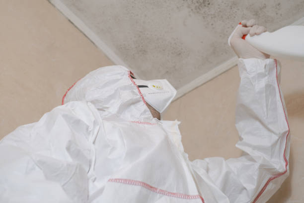 Mold Testing and Removal in Cottonwood, MN